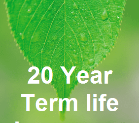 What is 20 Year Term Life Insurance?