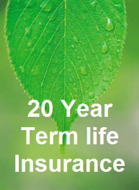 What is 20 Year Term Life Insurance?